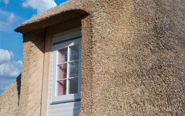 Lansdown thatch roof disadvantages